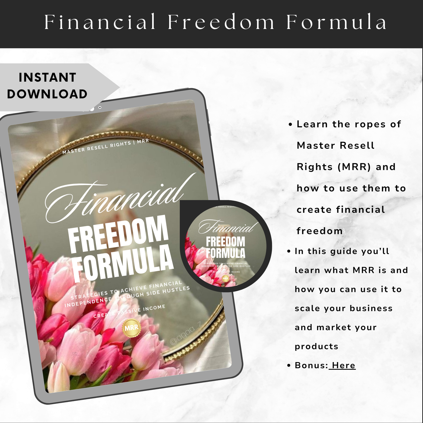The Financial Freedom Formula